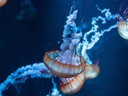 Beyond Your Awareness