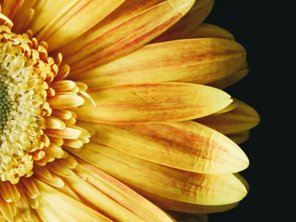 Bhagavad-Gita Glimpse Chapter 3