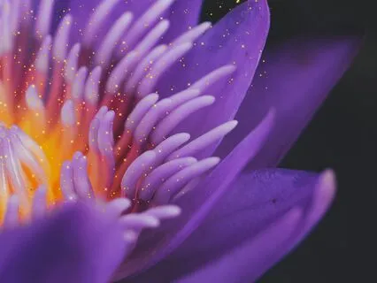 Bhagavad Gita Bhagavad Gita