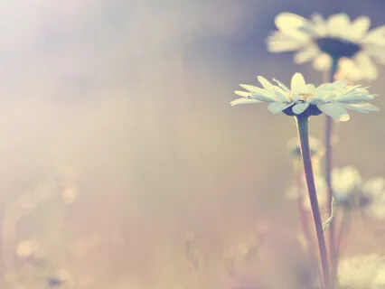 Bhagwadgita (Part 4)