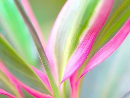 Bhagwadgita (Part 5)