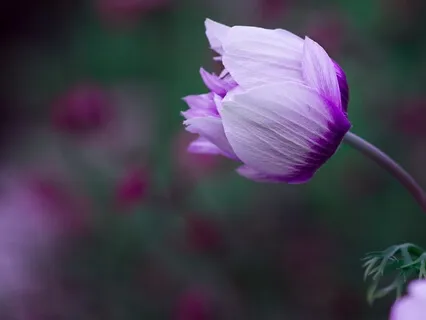 Bhagwadgita (Part 10)