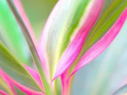 Bhagwadgita (Part 6)