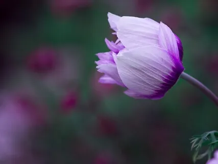 Bhagwadgita (Part 8)