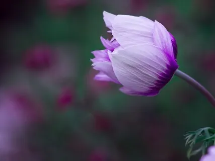 Bhagwadgita (Part 9)