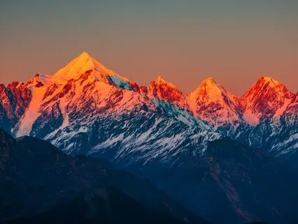 Bhairav In Bloom (Live)