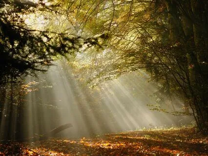 60Min Ambient Music: "Bhakti"