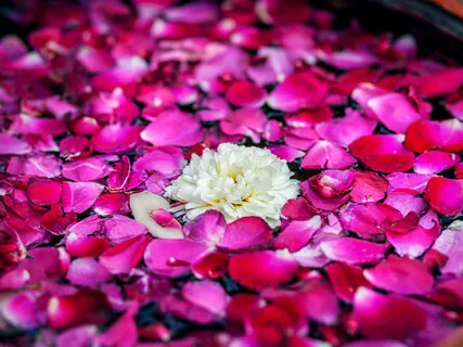 Bhakti Bhavana: Soften Your Heart Space