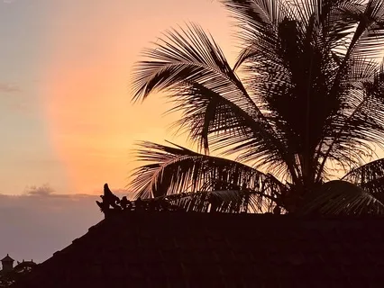 Bhavana/Ho'oponopono Meditation