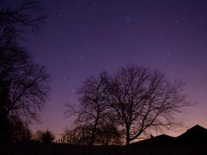 Bhramari Introduction - The Hum That Heals