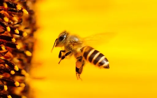 Bhramari Pranyama - (Bumble Bee Breathing)