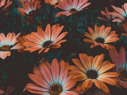 Bhuta Shuddhi (Elemental Purification) Meditation Practice