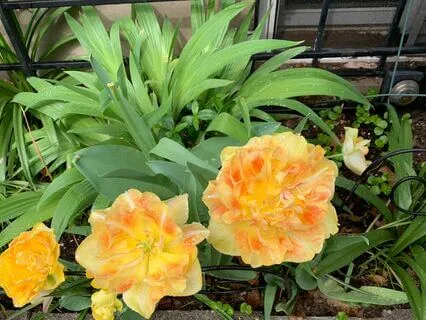 Bible Meditation: 2 Corinthians 10:5