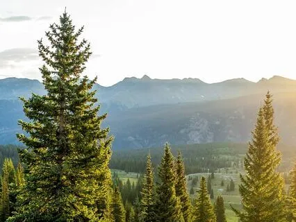 Bible Parables S1E3 -- The Prodigal Son