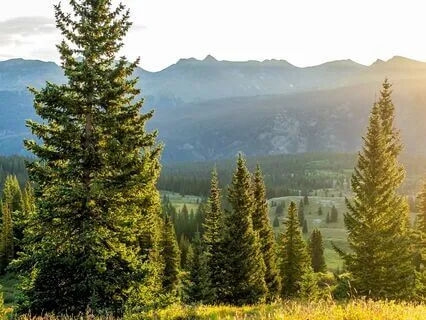 Bible Parables S1E7 - The Parable Of The Unforgiving Servant