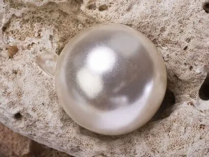 Bible Parables S2E6 : The Pearl Of Great Price