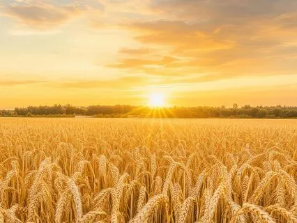 Bible Parables S2E8 : The Parable Of The Hidden Treasure