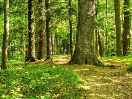 Bible Parables S2E9 : The Cost Of Discipleship