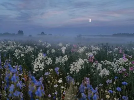 Bible Scripture Reading: Calming Verses For Sleep