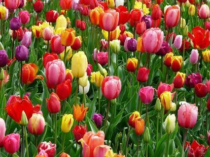 Bible Verses To Inspire And Anchor You