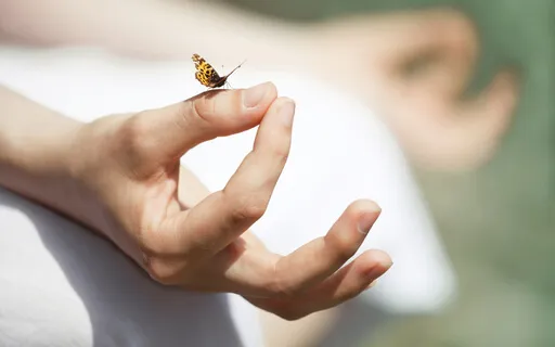 Безопасное место