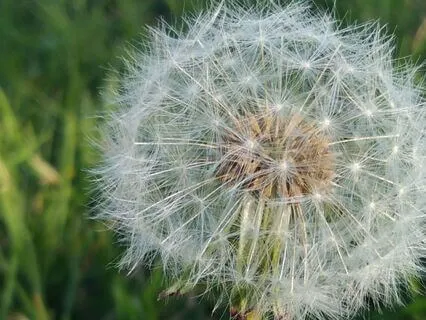 Big Breath, Big Sigh - Create Calm