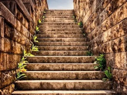 Big Vision, But Small Steps (Higher Mind)