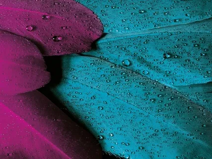 Bija Mantras-Watering The Seeds