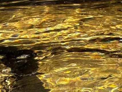 Bilateral Ocean For Nervous System Support