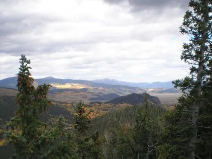 Bilateral Rhythm For Reset And Renewal