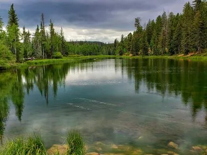 Bilateral Stimulation Music: Calm Your Nervous System