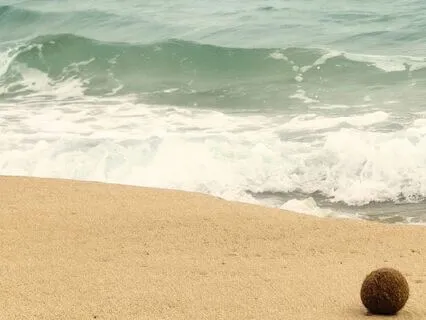 Bilateral Stimulation Music: For Focus And Anxiety Relief