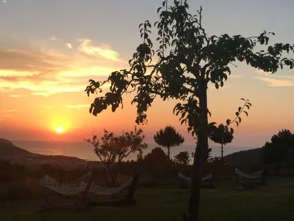 Bilinçli Farkındalık Meditasyonu