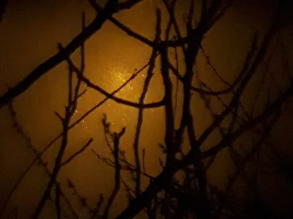 Binaural 2hz Pain Relief Sleep