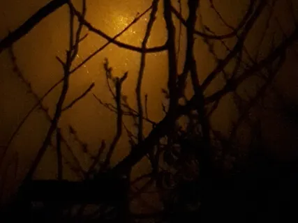 Binaural 3Hz Curative Slumber