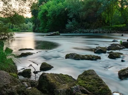 Binaural 40hz High-Profile Knowledge