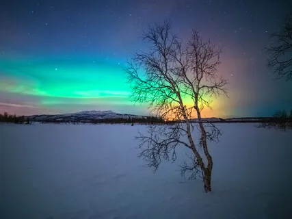 Binaural 432 Hz Delta Healing Deep Sleep Rejuvenation