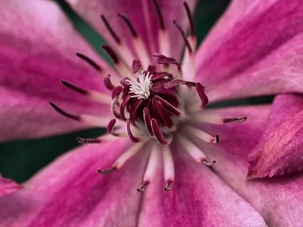 Binaural 432Hz Sound Journey With Native Flute & Tones