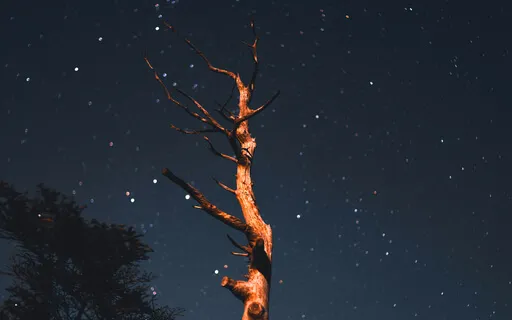 Binaural 4Hz Delta Deep Sleep Thru The Night