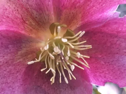 Binaural 7Hz Creativity