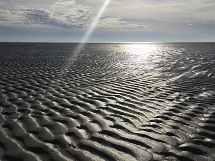 Binaural Alpha - Schumann Resonance 7.83 Hz