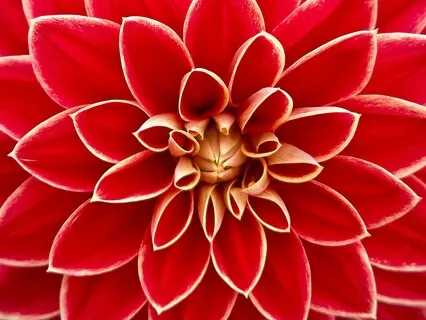 Binaural & Beats - Hearts Open In Grief & Joy