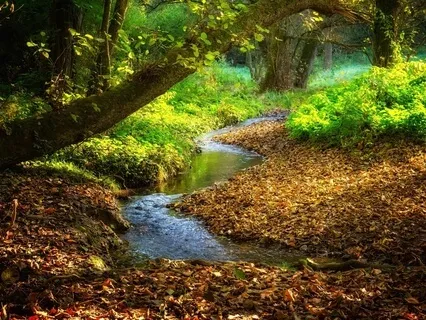 Binaural Babbling Brook For Peace & Visualization