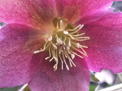 Binaural Beat 0.4Hz Deep Consciousness Experience