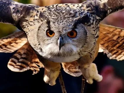 Binaural Beat 12Hz Spotlight