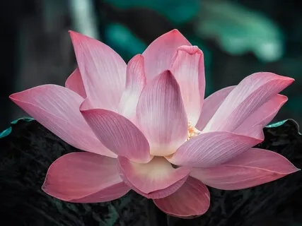 Binaural Beat 16 Hertz Awake