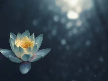 Binaural Beat 4 Hz Theta – Ocean of Inner Peace