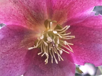 Binaural Beat 4Hz Meditation