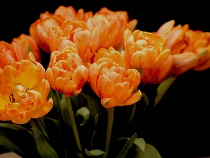 Binaural beat 5hz Introspection