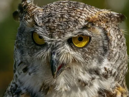 Binaural Beat Beta 18Hz Attention